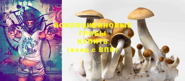 тгк Аркадак