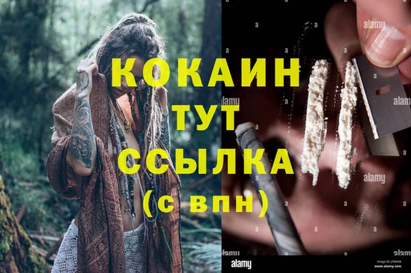 тгк Аркадак