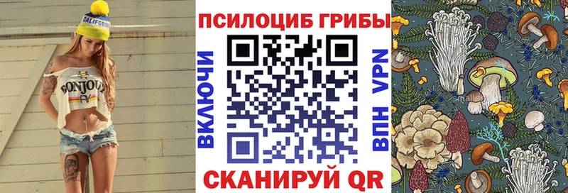 магазин    дарк нет состав  Псилоцибиновые грибы мицелий  Протвино  kraken сайт 